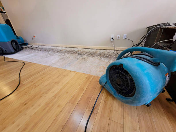 Professional Basement Flood Cleanup technician working in Pine Valley, CA